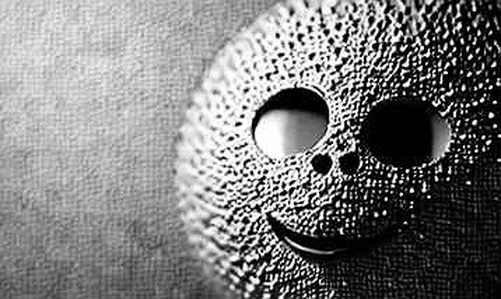 The Vanishing Protocol: When Audit Reports Yield Zero Data The Vanishing Protocol: When Audit Reports Yield Zero Data