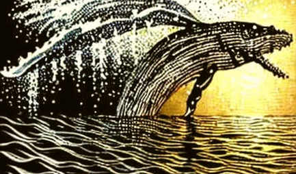 The Oracle’s Blind Spot: Why Polymarket’s 61% Nvidia Bet Is a Liquidity Illusion The Oracle’s Blind Spot: Why Polymarket’s 61% Nvidia Bet Is a Liquidity Illusion